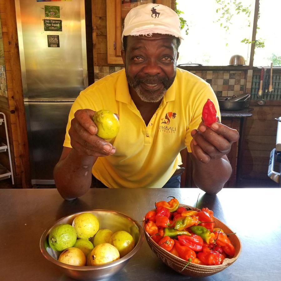 Villa Zimbali Culinary Retreats à Negril Extérieur photo