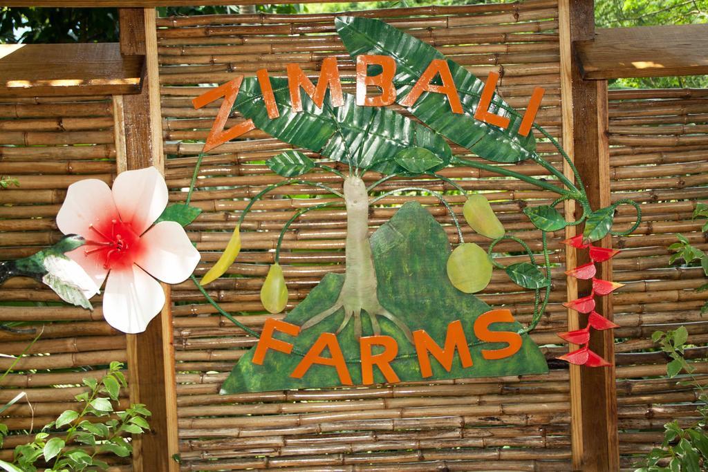 Villa Zimbali Culinary Retreats à Negril Extérieur photo