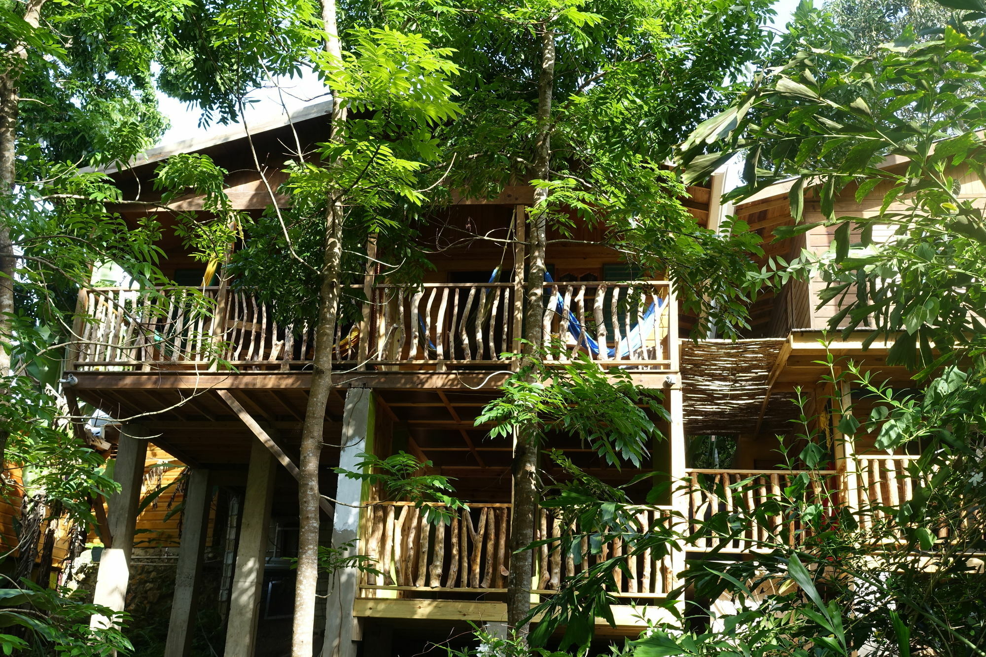 Villa Zimbali Culinary Retreats à Negril Extérieur photo