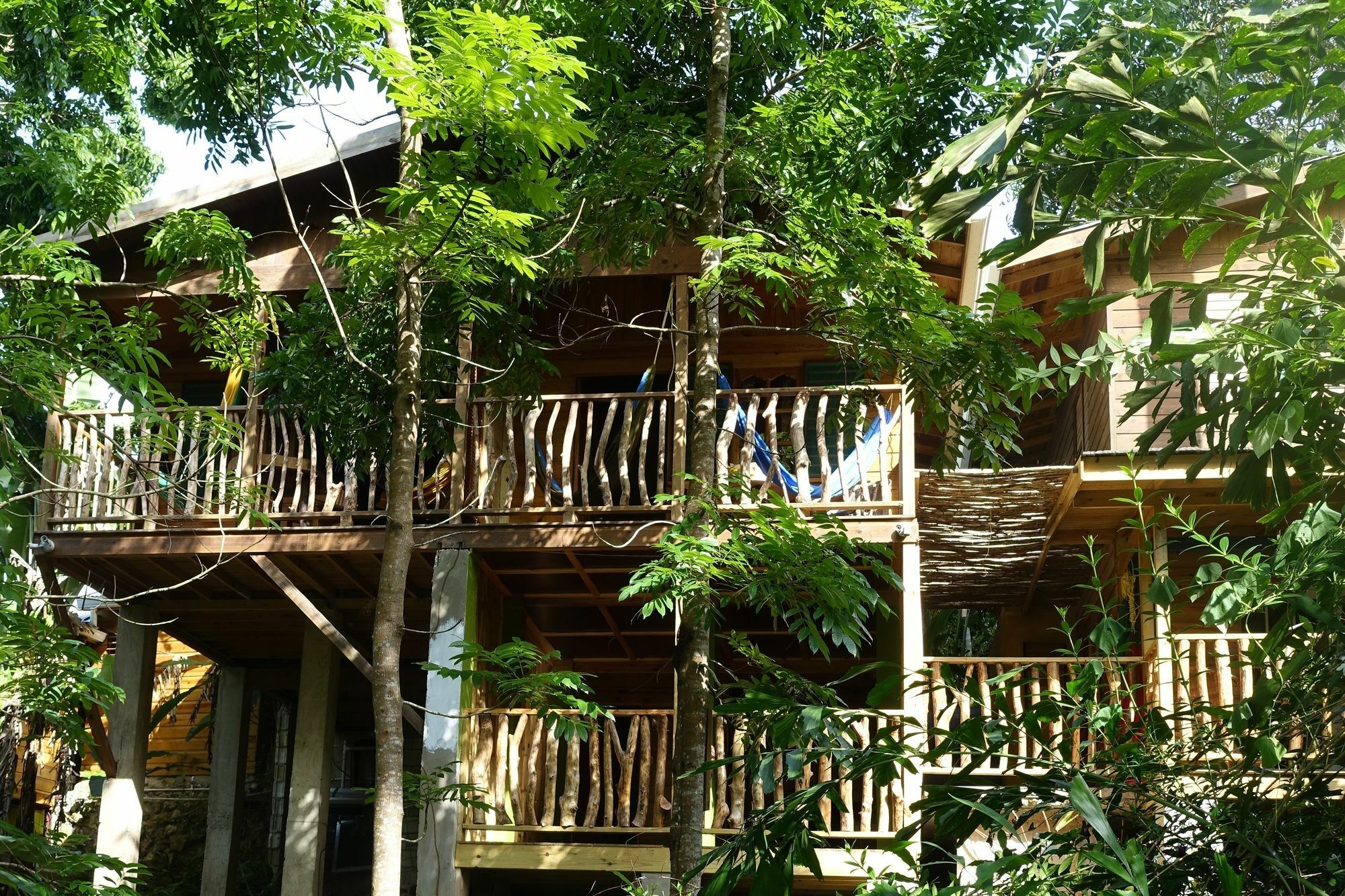 Villa Zimbali Culinary Retreats à Negril Extérieur photo