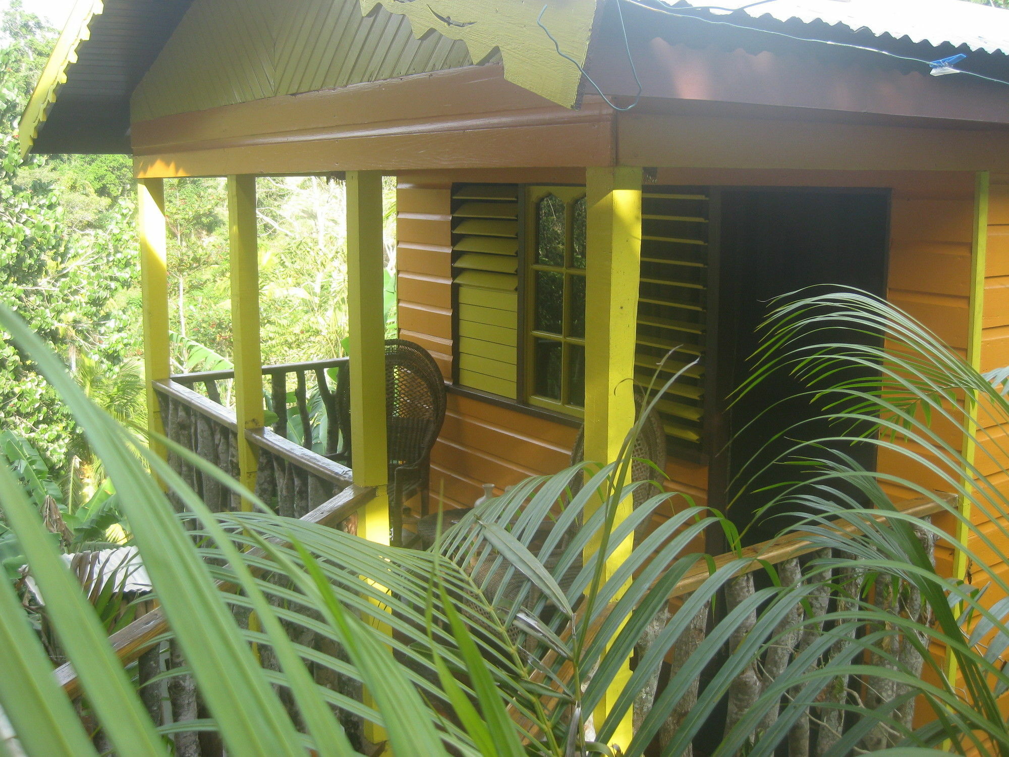 Villa Zimbali Culinary Retreats à Negril Extérieur photo