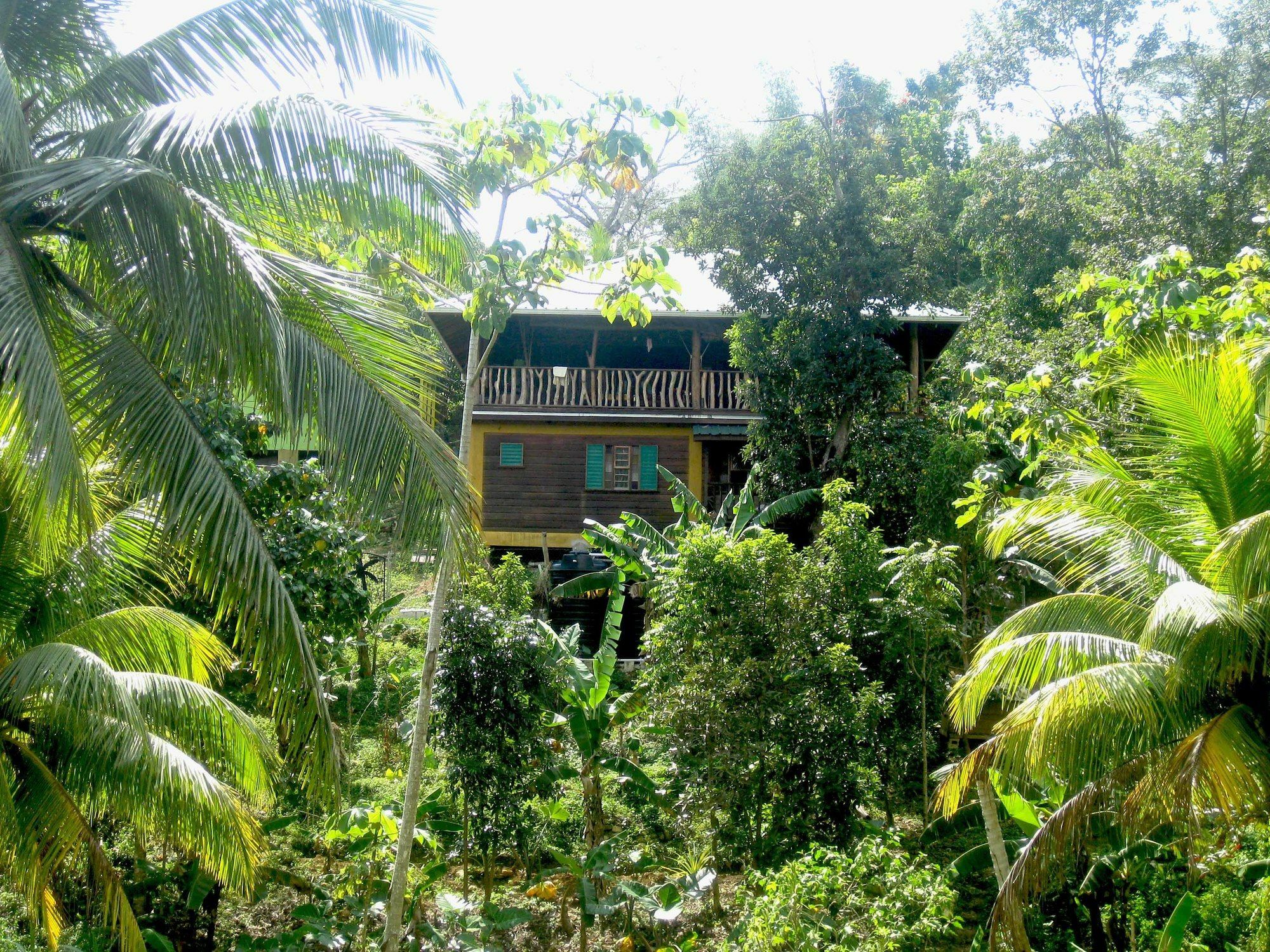 Villa Zimbali Culinary Retreats à Negril Extérieur photo